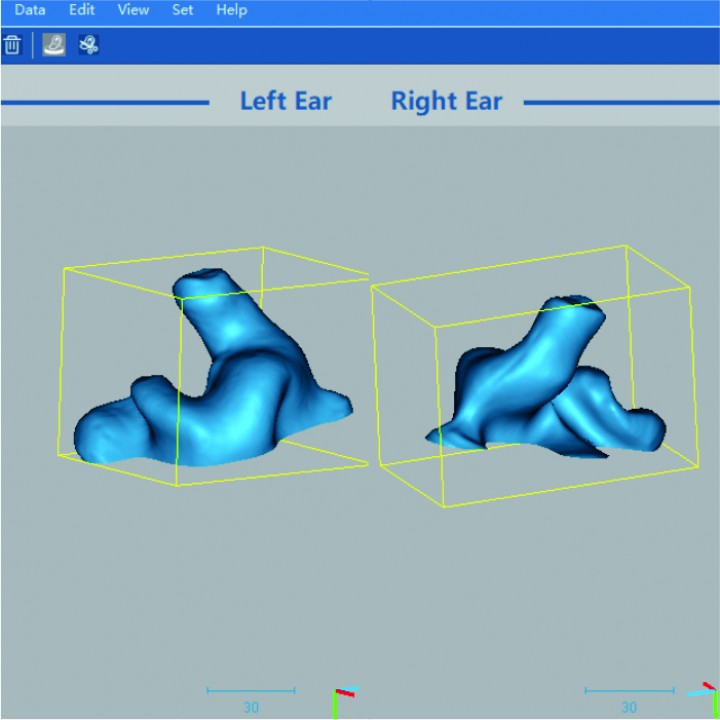 EarFigure 